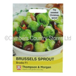 Thompson & Morgan Brussels Sprout Brodie F1
